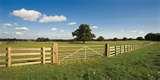 Steel Fencing Norwich photos
