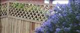 images of Steel Fencing Landscaping