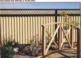 Decorative Steel Fencing And Gates pictures
