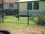 Decorative Steel Fencing And Gates photos