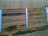 pictures of Steel Picket Fencing Perth