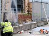 photos of Steel Fencing Specialist