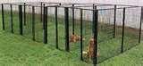 Steel Fencing Dog Pen pictures