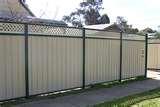 Steel Fencing Photos pictures