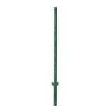 pictures of Steel Fencing Reviews