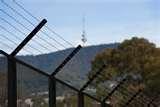 Steel Fencing Wollongong photos