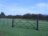 Steel Fencing Peterborough pictures