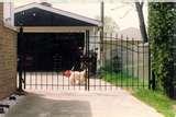 Steel Fencing Driveway Gates photos