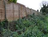 Steel Fencing Peterborough pictures