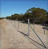 Steel Rural Fencing Products