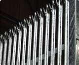 photos of Steel Fencing Palisade