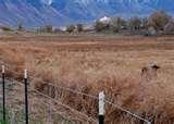 Ornamental Steel Fencing Utah photos
