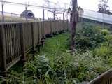 Steel Fencing Bridgend pictures