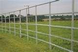 photos of Steel Fencing Richmond