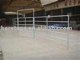 pictures of Steel Fencing Cattle