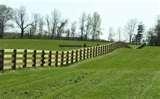 Steel Fencing Cattle images
