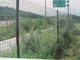 Steel Fencing Holland images