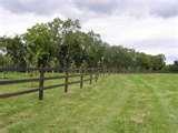 pictures of Steel Fencing In Ireland