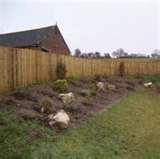 Steel Fencing Phoenix images