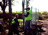 Steel Fencing Ltd photos