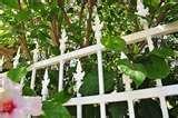 images of Steel Fencing Perth