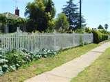 pictures of Steel Fencing Decorative