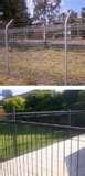 Steel Fencing Pty Ltd photos