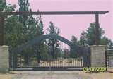 Steel Fencing Dog photos
