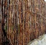 images of Steel Fences Qld