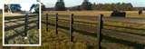 pictures of Steel Fencing Horses
