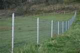 images of Steel Fencing Horses