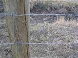 images of Steel Fencing Horses