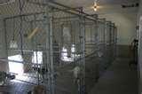 photos of Steel Fencing Kennels