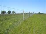 Steel Fencing Equine images