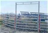 Steel Fencing Livestock pictures