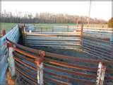 Steel Fencing Livestock images