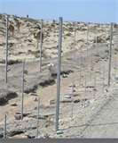Steel Fencing Qatar pictures