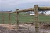 Steel Fencing For Cattle pictures