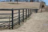Steel Fencing For Cattle photos