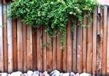 Steel Fencing Observer pictures