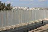 images of Steel Fencing Observer