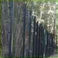 Steel Fences Gauteng photos