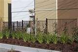 Steel Fencing Privacy
