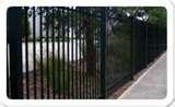 Steel Fencing Sunshine images
