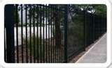 Steel Fencing Sunshine