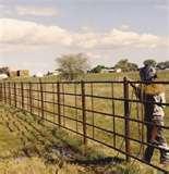 Steel Fencing Llc photos