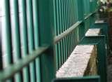 Steel Fencing In Manchester photos
