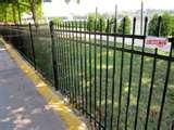 photos of Steel Fencing World