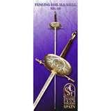 Steel Fencing Swords photos