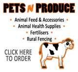 Steel Fencing Minchinbury photos